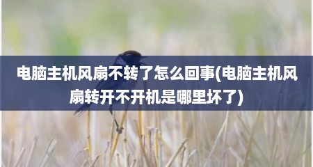 电脑主机风扇不转了怎么回事(电脑主机风扇转开不开机是哪里坏了)