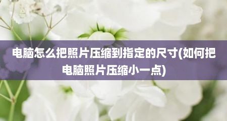 电脑怎么把照片压缩到指定的尺寸(如何把电脑照片压缩小一点)