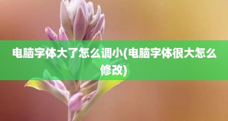 电脑字体大了怎么调小(电脑字体很大怎么修改)