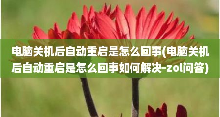 电脑关机后自动重启是怎么回事(电脑关机后自动重启是怎么回事如何解决-zol问答)