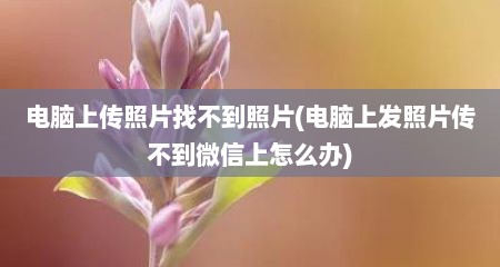 电脑上传照片找不到照片(电脑上发照片传不到微信上怎么办)