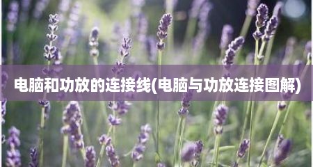 电脑和功放的连接线(电脑与功放连接图解)