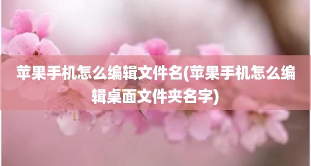 苹果手机怎么编辑文件名(苹果手机怎么编辑桌面文件夹名字)