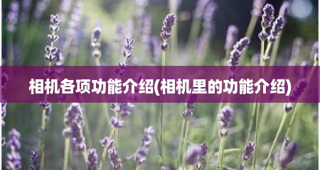 相机各项功能介绍(相机里的功能介绍)