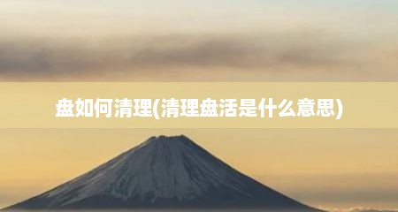 盘如何清理(清理盘活是什么意思)