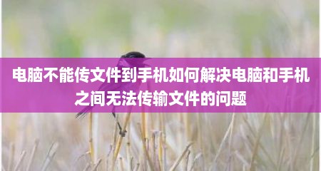 电脑不能传文件到手机如何解决电脑和手机之间无法传输文件的问题