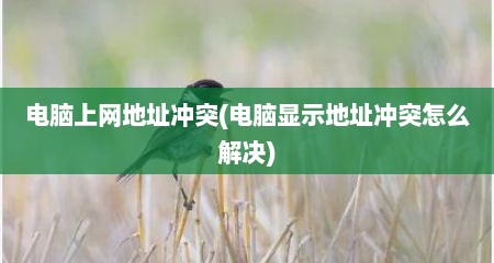 电脑上网地址冲突(电脑显示地址冲突怎么解决)