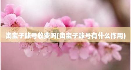 淘宝子账号收费吗(淘宝子账号有什么作用)