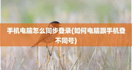 手机电脑怎么同步登录(如何电脑跟手机登不同号)