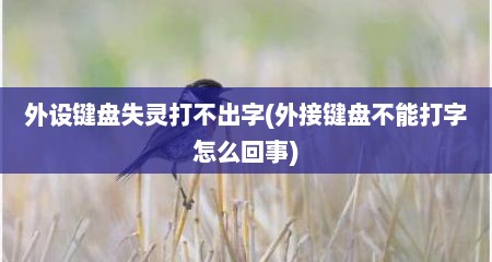 外设键盘失灵打不出字(外接键盘不能打字怎么回事)