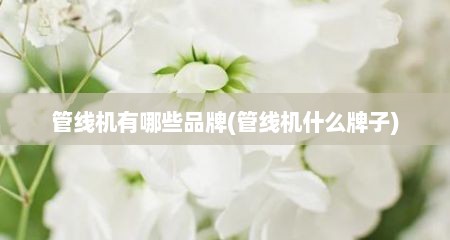 管线机有哪些品牌(管线机什么牌子)