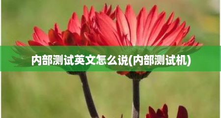 内部测试英文怎么说(内部测试机)