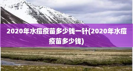 2020年水痘疫苗多少钱一针(2020年水痘疫苗多少钱)