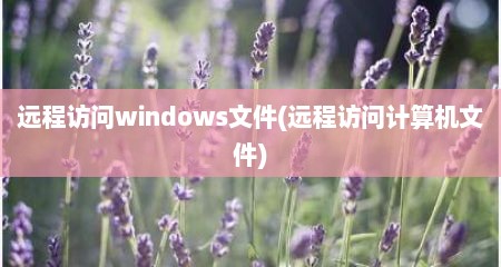 远程访问windows文件(远程访问计算机文件)