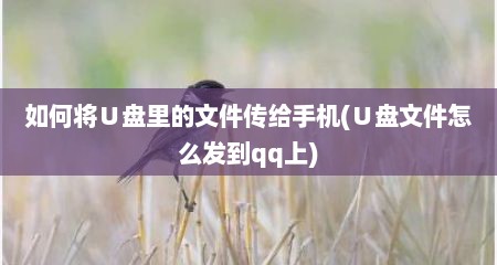 如何将∪盘里的文件传给手机(∪盘文件怎么发到qq上)