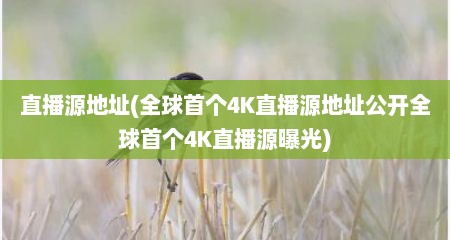 直播源地址(全球首个4K直播源地址公开全球首个4K直播源曝光)