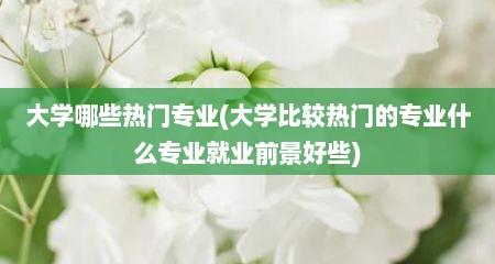 大学哪些热门专业(大学比较热门的专业什么专业就业前景好些)