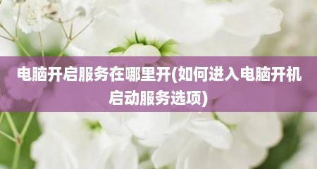 电脑开启服务在哪里开(如何进入电脑开机启动服务选项)