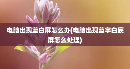 电脑出现蓝白屏怎么办(电脑出现蓝字白底屏怎么处理)