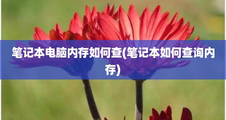 笔记本电脑内存如何查(笔记本如何查询内存)