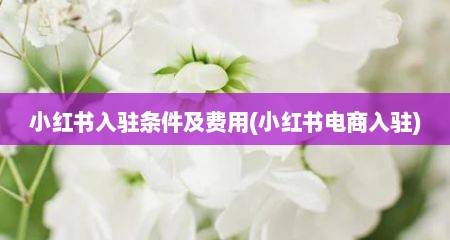 小红书入驻条件及费用(小红书电商入驻)