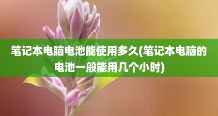 笔记本电脑电池能使用多久(笔记本电脑的电池一般能用几个小时)