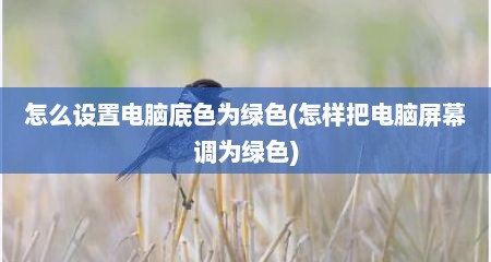 怎么设置电脑底色为绿色(怎样把电脑屏幕调为绿色)