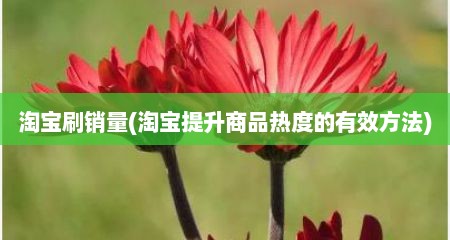 淘宝刷销量(淘宝提升商品热度的有效方法)