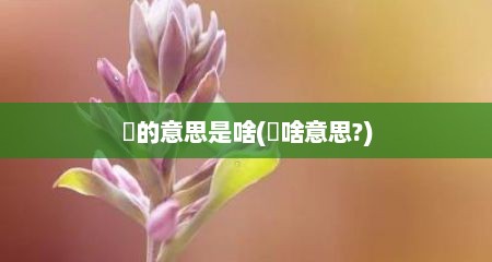 囧的意思是啥(囧啥意思?)