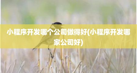 小程序开发哪个公司做得好(小程序开发哪家公司好)