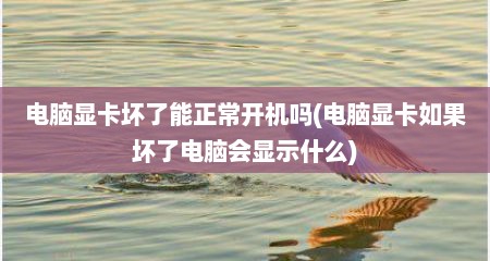 电脑显卡坏了能正常开机吗(电脑显卡如果坏了电脑会显示什么)