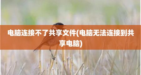 电脑连接不了共享文件(电脑无法连接到共享电脑)