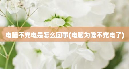 电脑不充电是怎么回事(电脑为啥不充电了)