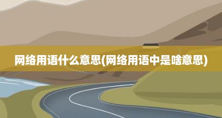 网络用语什么意思(网络用语中是啥意思)