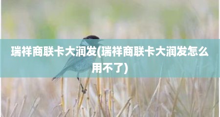 瑞祥商联卡大润发(瑞祥商联卡大润发怎么用不了)