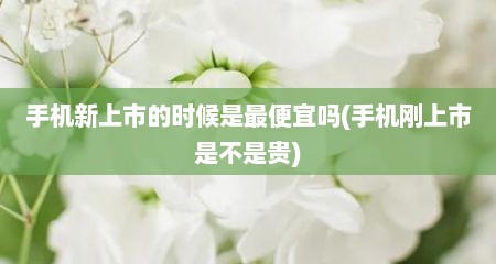 手机新上市的时候是最便宜吗(手机刚上市是不是贵)