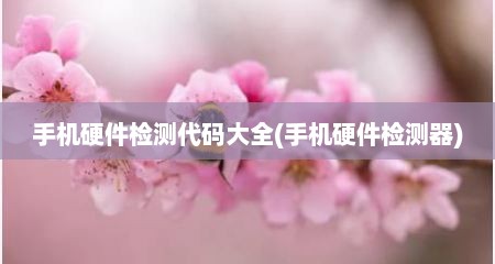 手机硬件检测代码大全(手机硬件检测器)