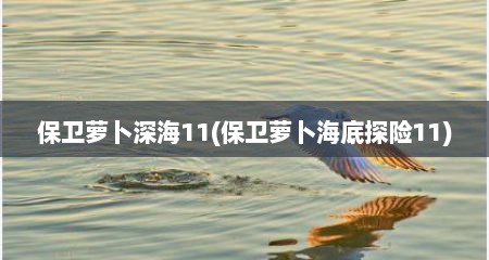 保卫萝卜深海11(保卫萝卜海底探险11)