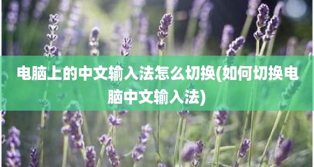 电脑上的中文输入法怎么切换(如何切换电脑中文输入法)