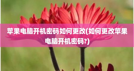 苹果电脑开机密码如何更改(如何更改苹果电脑开机密码?)