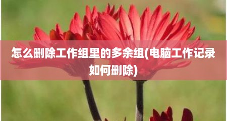 怎么删除工作组里的多余组(电脑工作记录如何删除)