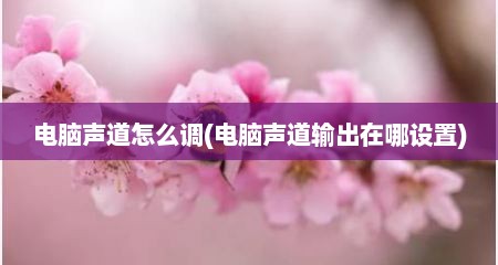 电脑声道怎么调(电脑声道输出在哪设置)