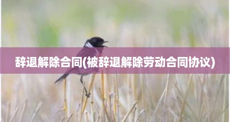 辞退解除合同(被辞退解除劳动合同协议)