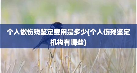 个人做伤残鉴定费用是多少(个人伤残鉴定机构有哪些)