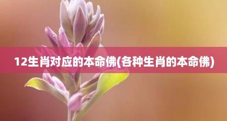 12生肖对应的本命佛(各种生肖的本命佛)