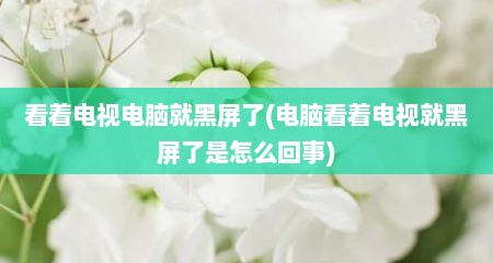 看着电视电脑就黑屏了(电脑看着电视就黑屏了是怎么回事)