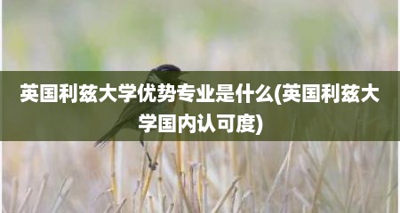 英国利兹大学优势专业是什么(英国利兹大学国内认可度)