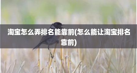 淘宝怎么弄排名能靠前(怎么能让淘宝排名靠前)