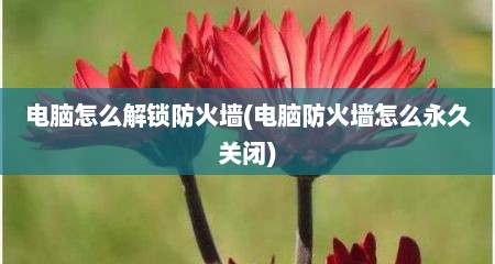 电脑怎么解锁防火墙(电脑防火墙怎么永久关闭)