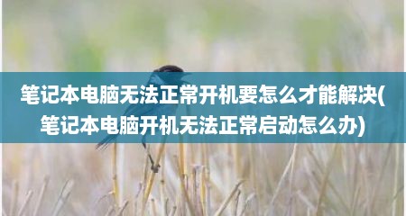 笔记本电脑无法正常开机要怎么才能解决(笔记本电脑开机无法正常启动怎么办)